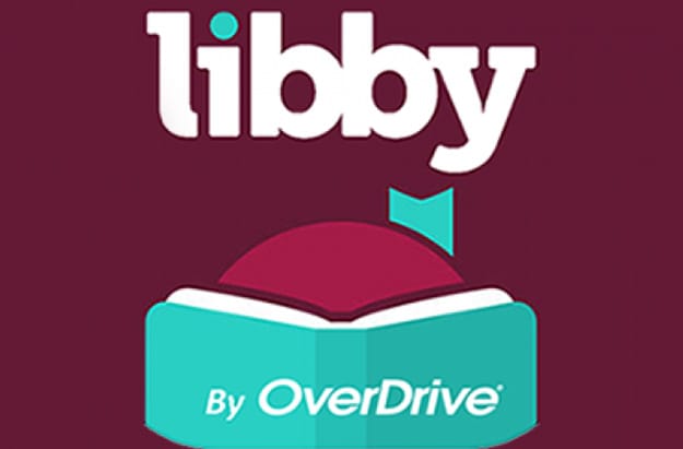 Libby Cartoon Reading Book