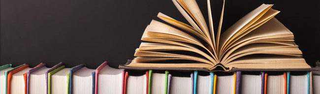 Row of Books on a Shelf